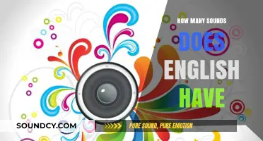 Exploring the Rich Phonetic Landscape: How Many Sounds Does English Have?