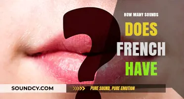 Exploring the Rich Phonetic Landscape: How Many Sounds Does French Have?