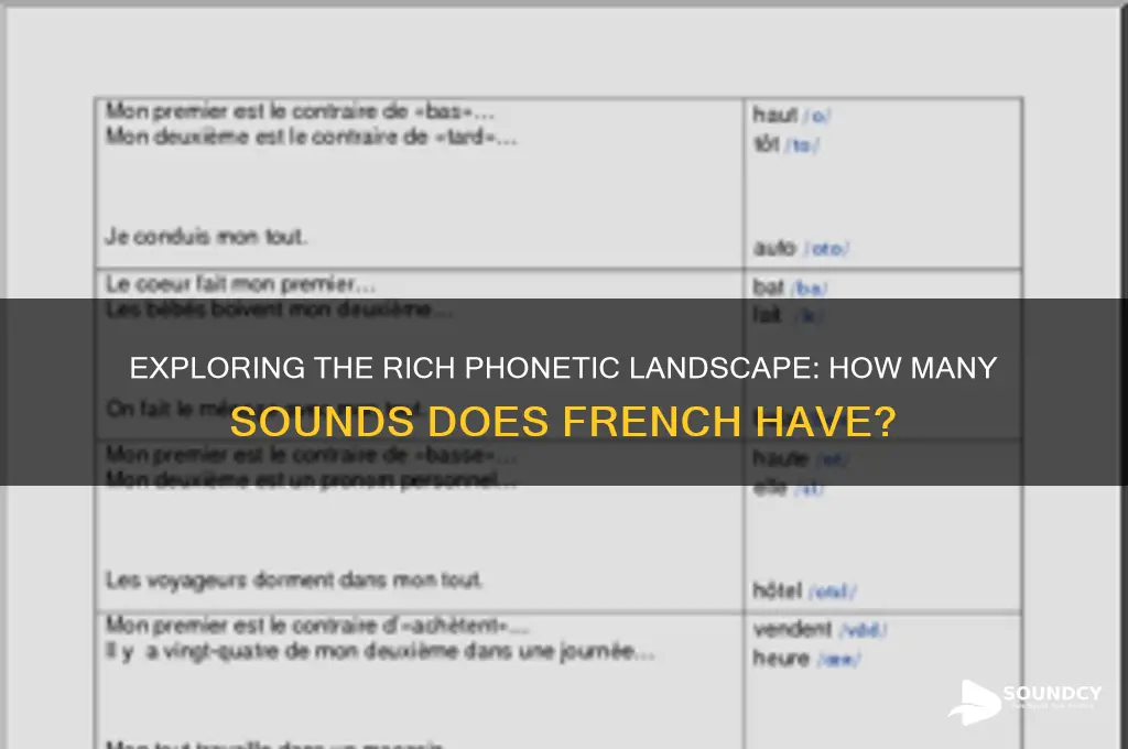 how many sounds does french have