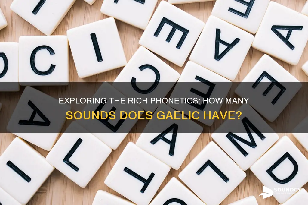 how many sounds does gaelic have