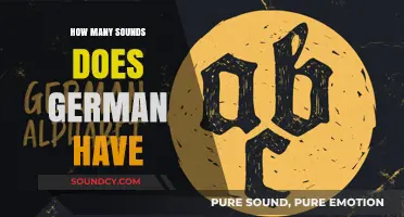 Exploring the Rich Phonetic Landscape: How Many Sounds Does German Have?