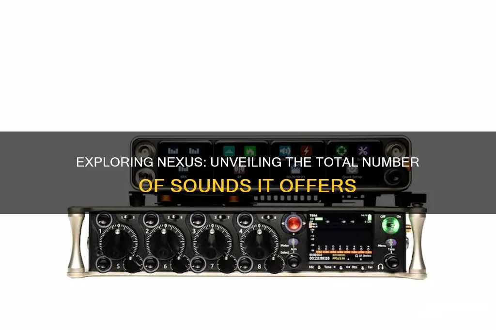how many sounds does nexus have