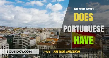 Exploring the Rich Phonetic Diversity of the Portuguese Language