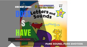 Exploring the Versatile Sounds of the Letter S in English