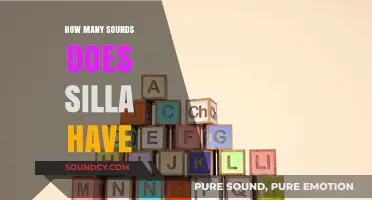 Exploring Silla's Phonetic Diversity: Uncovering the Total Number of Sounds