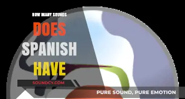 Exploring the Rich Phonetic Landscape: How Many Sounds Does Spanish Have?