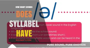 Exploring Syllables: Understanding the Number of Sounds They Contain