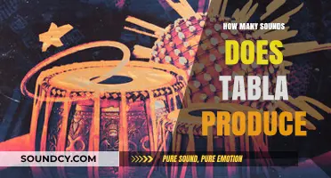 Exploring the Rich Variety of Sounds Produced by the Tabla