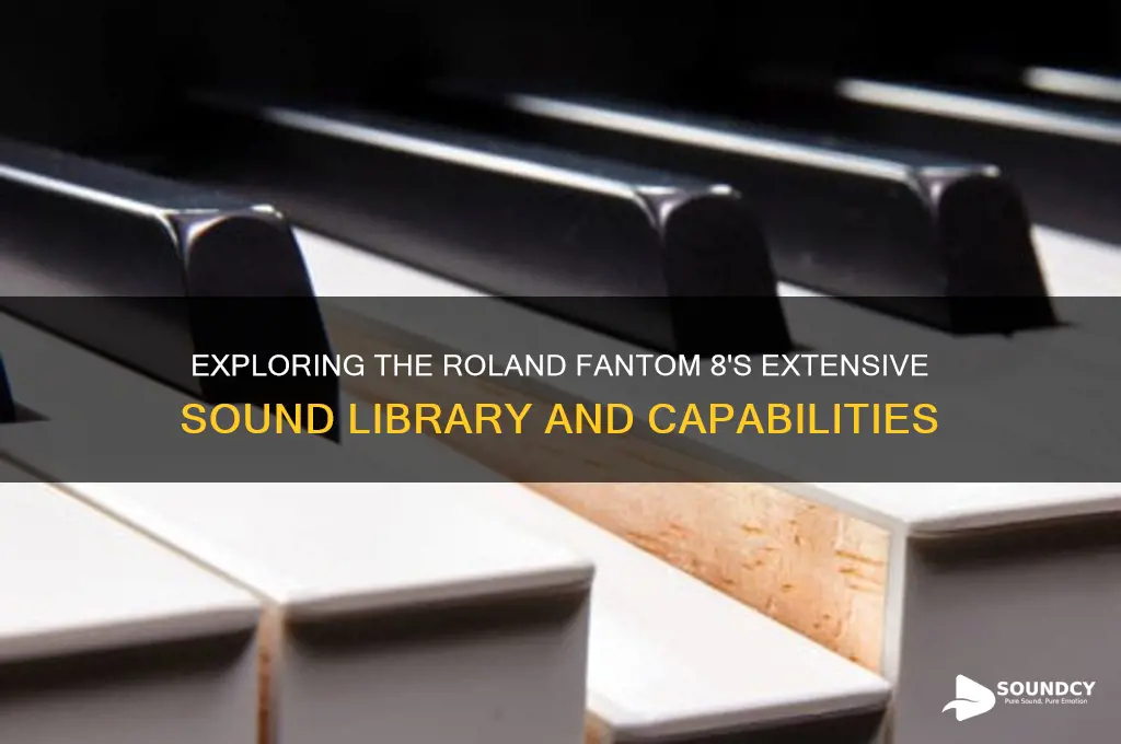 how many sounds does the roland fantom 8 have