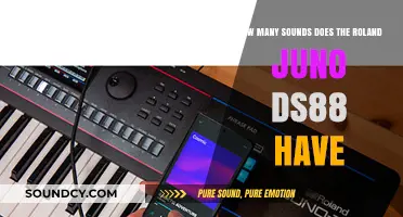 Exploring the Roland Juno DS88: Its Extensive Sound Library Revealed