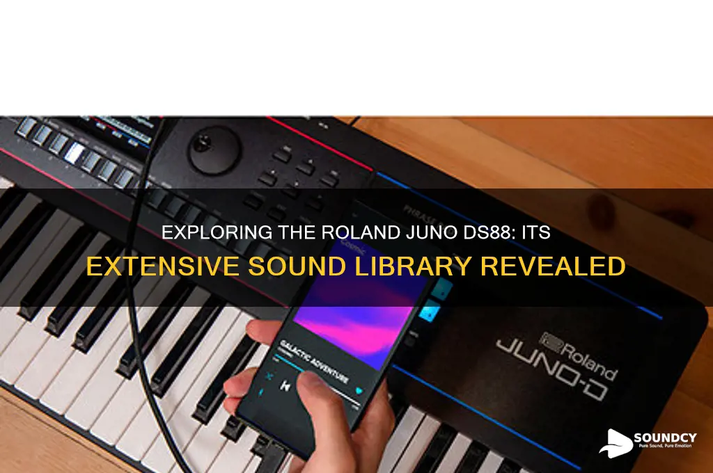 how many sounds does the roland juno ds88 have