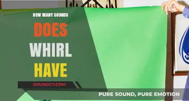 Exploring the Unique Sounds of a Whirl: A Comprehensive Guide