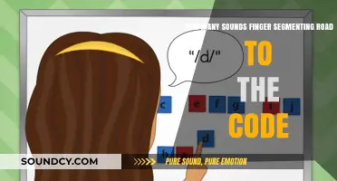Finger Segmenting Sounds: Unlocking the Road to Reading Code