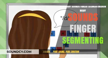 Mastering Finger Segmenting: Counting Sounds for Early Reading Success