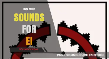 Exploring the Diverse Sounds of 'EI' in English Phonetics