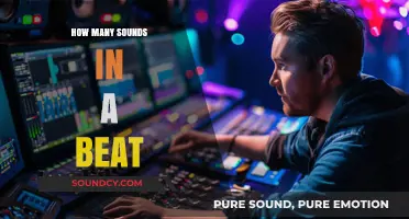 Exploring the Rhythmic Complexity: How Many Sounds Shape a Beat?