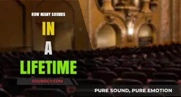 Exploring the Infinite Symphony: Sounds We Encounter in a Lifetime