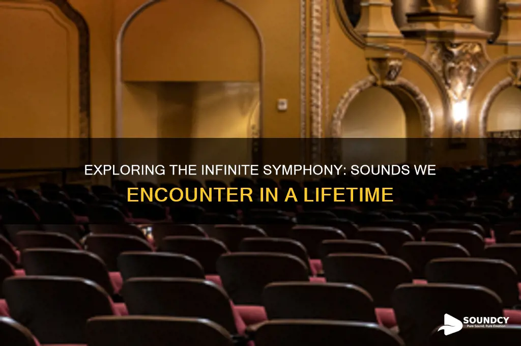 how many sounds in a lifetime