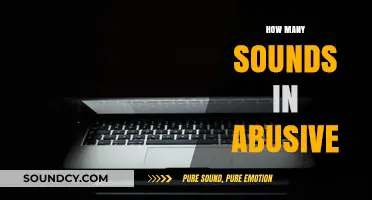 Uncovering the Hidden Sounds in Abusive Language: A Linguistic Analysis