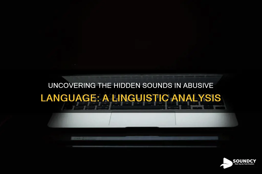 how many sounds in abusive