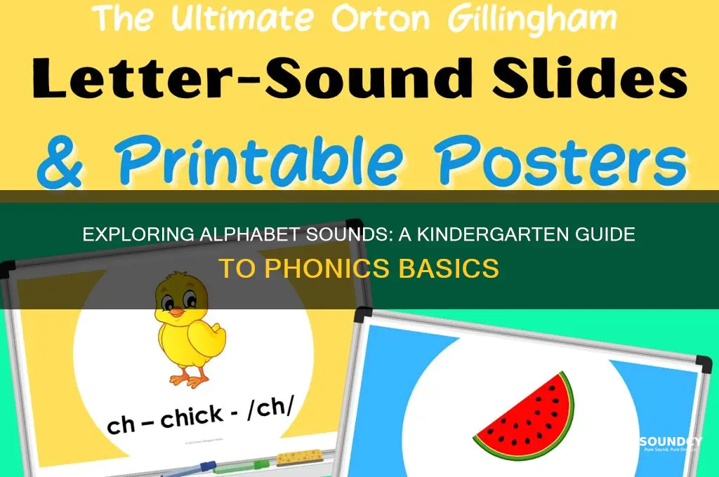 how many sounds in alphabet kidnergarten