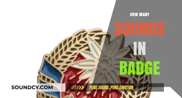 Unraveling the Phonetic Mystery: How Many Sounds Are in 'Badge'?