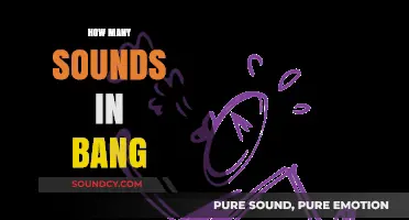 Exploring the Surprising Number of Sounds in the Word 'Bang