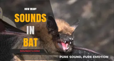 Unraveling the Phonetic Mystery: How Many Sounds Are in 'Bat'?