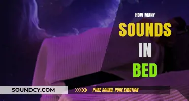Exploring the Surprising Number of Sounds Hidden in the Word 'Bed