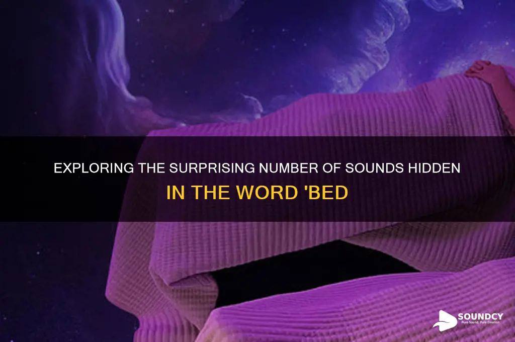how many sounds in bed