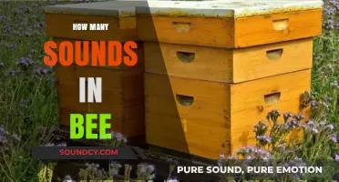 Unveiling the Buzz: Exploring the Sounds in a Bee's Communication
