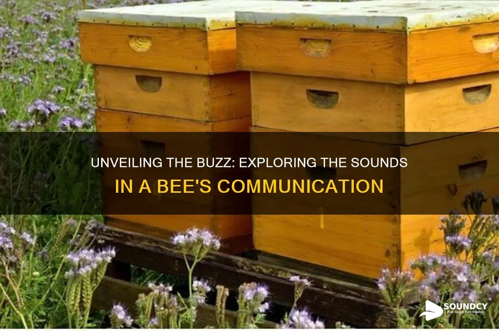 how many sounds in bee