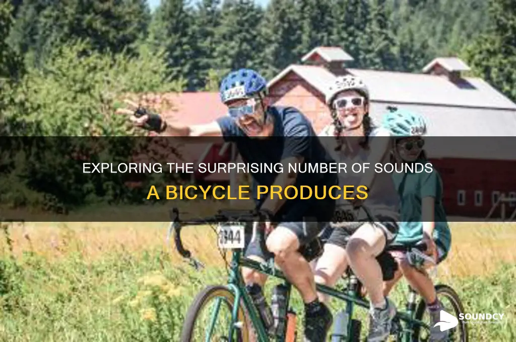 how many sounds in bicycle