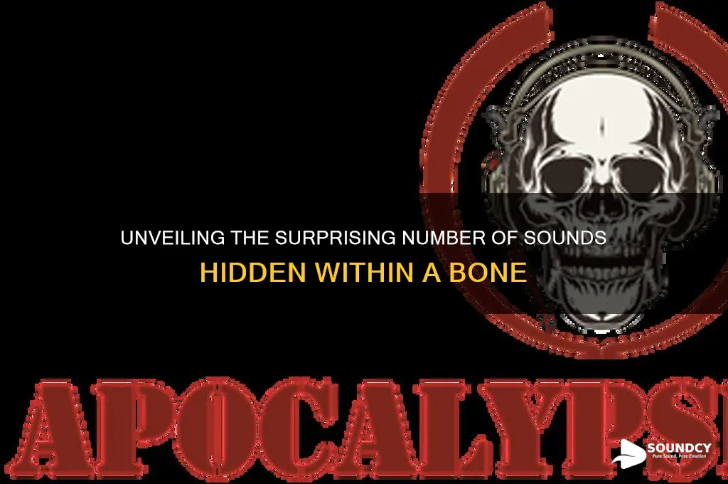 how many sounds in bone