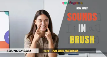 Unraveling the Phonetic Mystery: How Many Sounds Are in 'Brush'?