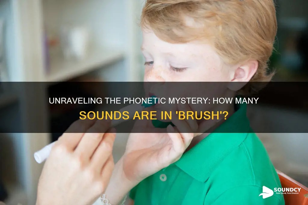 how many sounds in brush