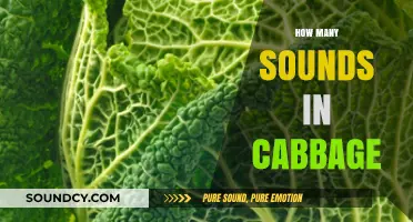 Unraveling the Phonetic Mystery: How Many Sounds Are in 'Cabbage'?
