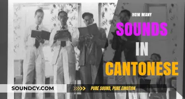 Exploring the Rich Phonetic Diversity of Cantonese Syllables and Tones