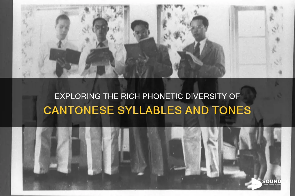 how many sounds in cantonese