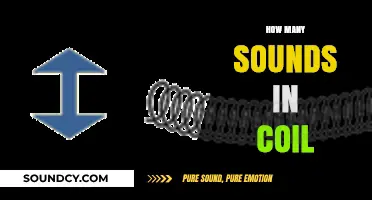 Exploring the Acoustic Complexity: How Many Sounds Does a Coil Produce?