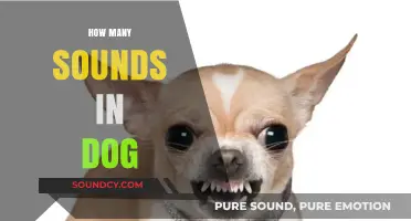 Unraveling the Canine Vocal Repertoire: How Many Sounds Do Dogs Make?
