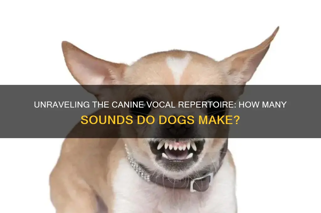 how many sounds in dog
