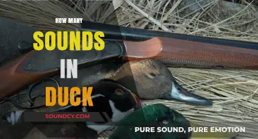 Unraveling the Quack: How Many Sounds Does a Duck Make?