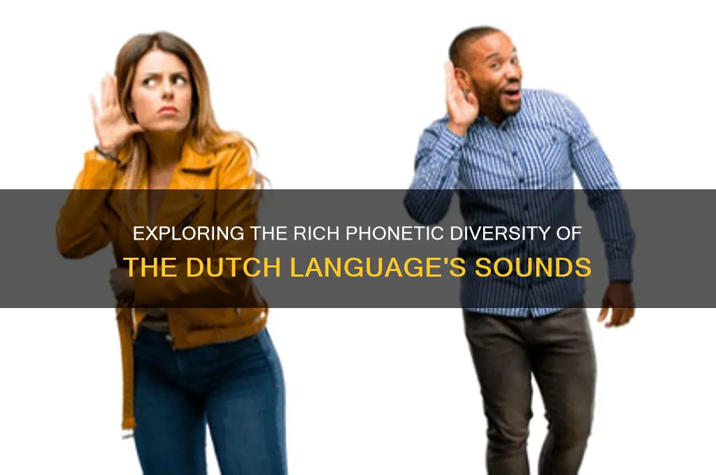 how many sounds in dutch language