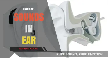 Exploring the Intricacies of Ear Sounds: How Many Do We Hear?