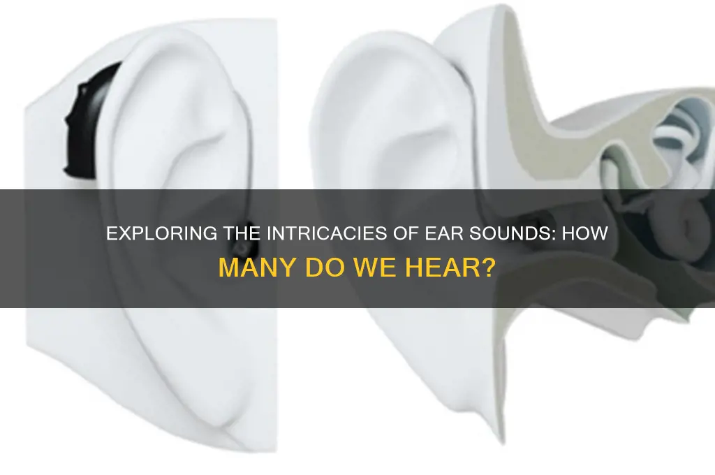 how many sounds in ear