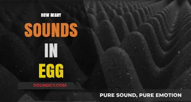 Unraveling the Surprising Sounds Hidden Within a Simple Egg
