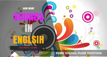 Exploring the Phonetic Diversity: How Many Sounds Are in English?