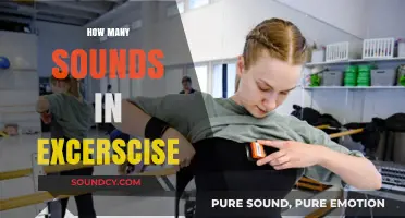 Uncovering the Surprising Number of Sounds in Exercise Movements