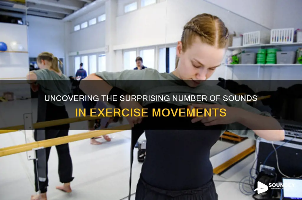 how many sounds in excerscise